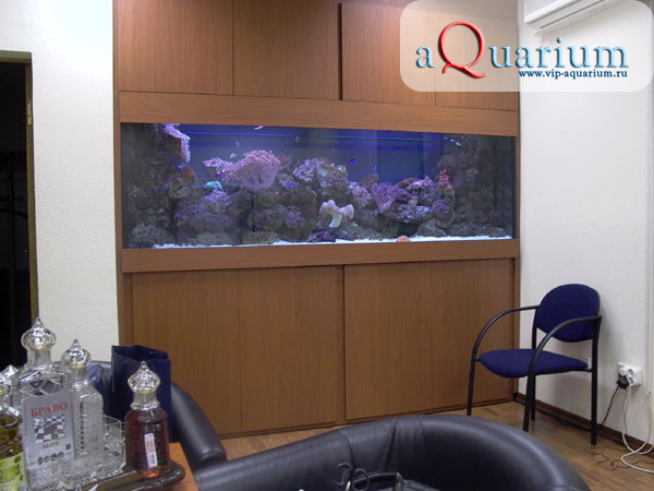 Наши работы - Морской аквариум в офисе