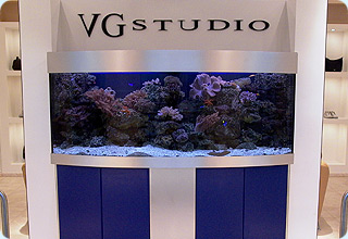 Аквариум - от дизайна до обслуживания - Запуск аквариумов