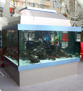 эксклюзивный морской аквариум